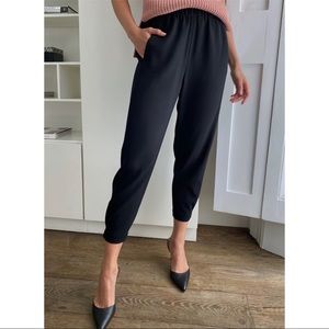 Aritzia Babaton dexter pant